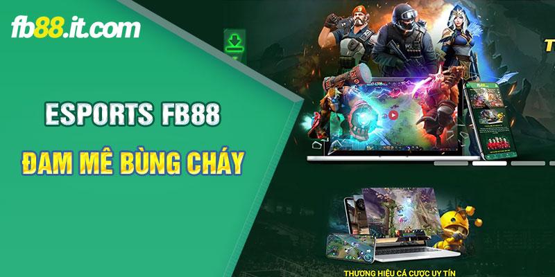 Esports FB88 - Nơi thỏa mãn đam mê thể thao điện tử